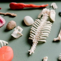 造影CT後の飲酒でむくみとだるさがあります、受診は必要ですか？